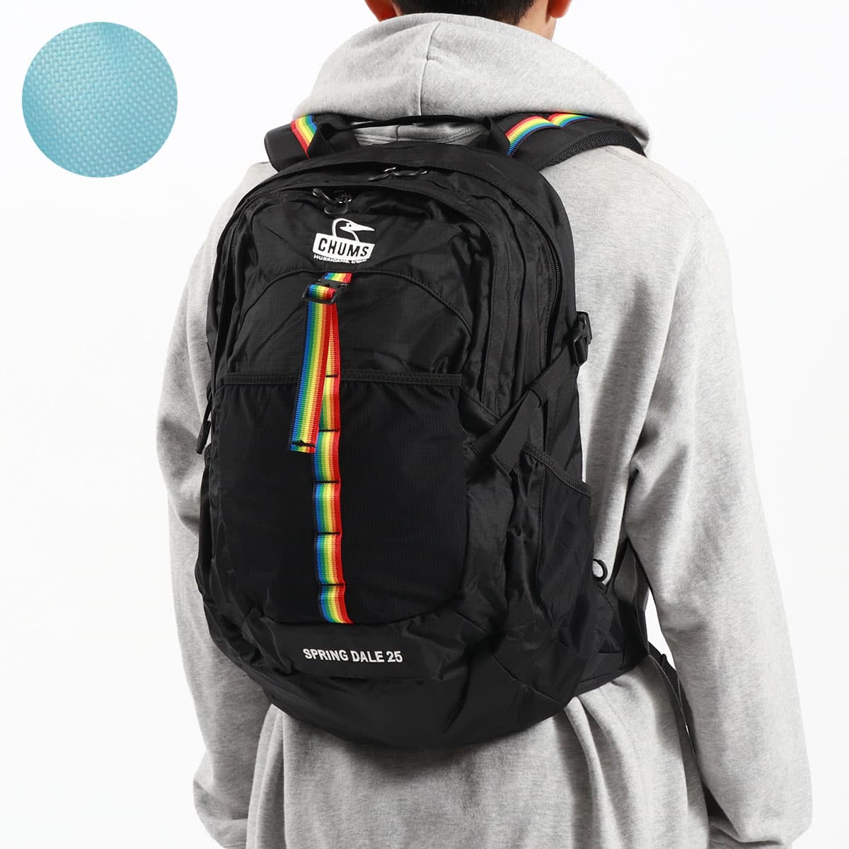 日本正規品】CHUMS チャムス Spring Dale 25L リュック 25L CH60-3548