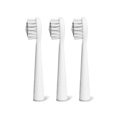 �A�C�e���C���[�W