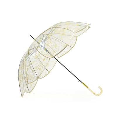 �A�C�e���C���[�W