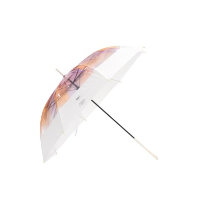 �A�C�e���C���[�W